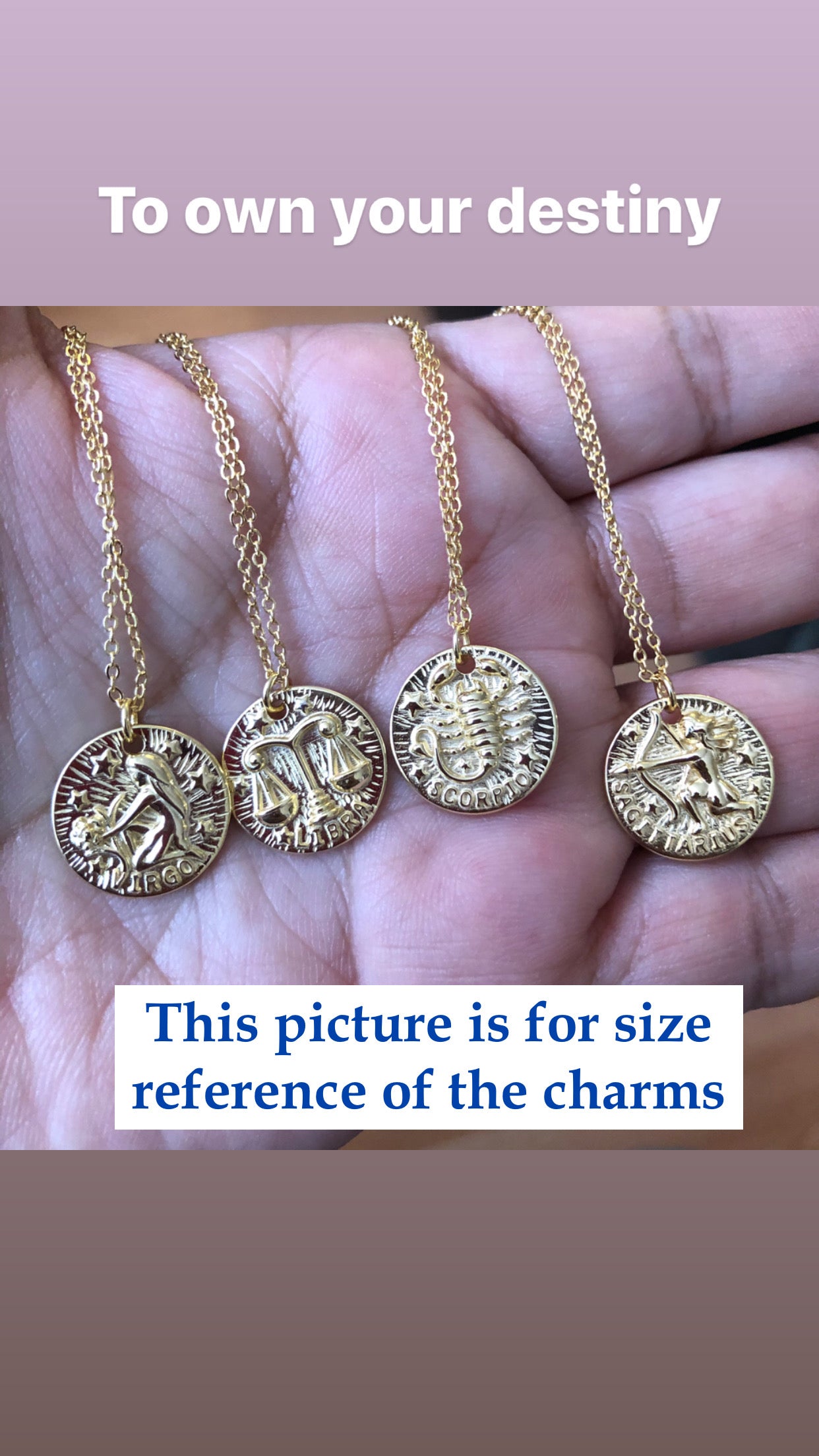 Select Your Horoscope! Individual Horoscope Necklace